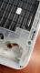 Miniaturka zdj�cia Przep�ywowy podgrzewacz wody Bosch Tronic 5000 - TR5001 15/18/21 EB [2193] 